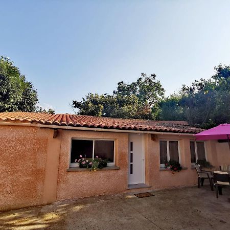 Maison De Village Proche Commodites Murato Exterior photo